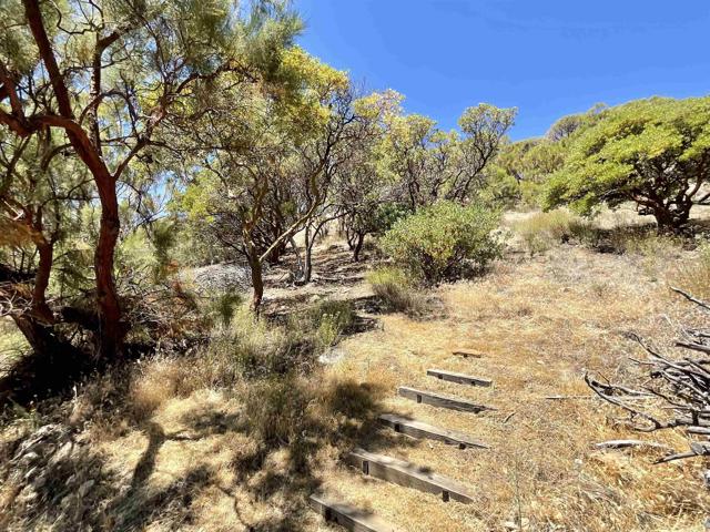 38281 Western Hills Drive, Anza CA: https://media.crmls.org/mediaz/3059b54a-19f5-4841-816a-19df2f44b358.jpg