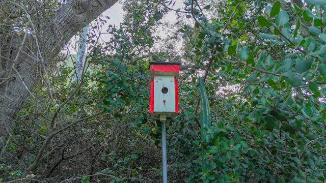 Detail Gallery Image 55 of 59 For 9237 Harmony Grove, Escondido,  CA 92029 - 3 Beds | 2/1 Baths