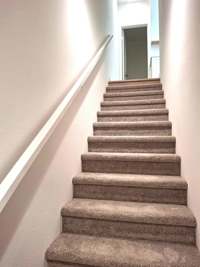 2586 Delphinium - photo 12