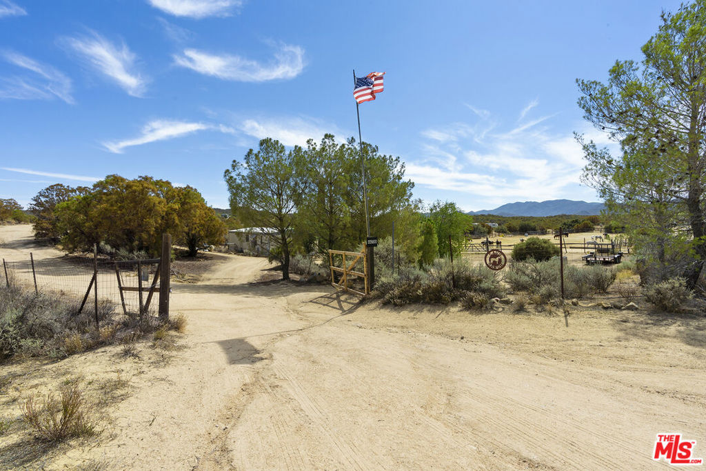 44700 Terwilliger Road, Anza, CA 92539