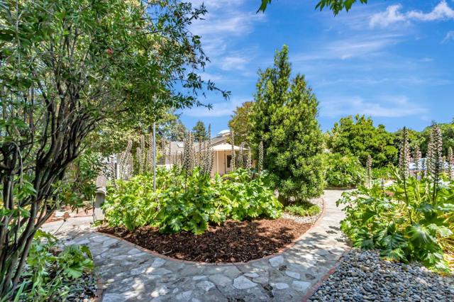 14805 Acton Drive, San Jose CA: https://media.crmls.org/mediaz/30707d6d-650c-4f6b-9f4f-3bb6352325ef.jpg