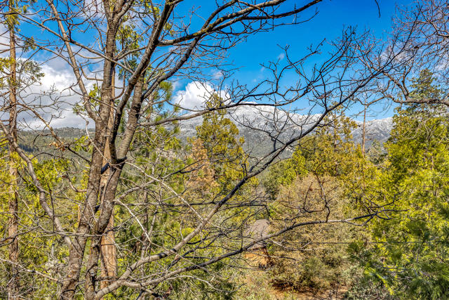 53184 Double View Drive, Idyllwild CA: https://media.crmls.org/mediaz/3072fcb7-0427-4429-a32f-f20ccf7ca057.jpg