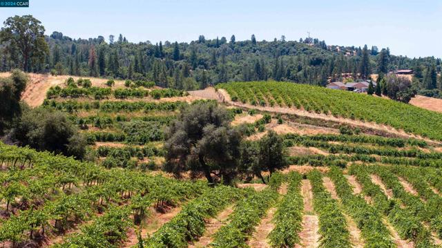 Details for 20550 Ostrom Rd., Fiddletown, CA 95629