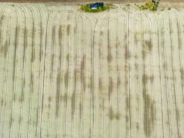 Image 25 of 26 For 60584 Polk Street