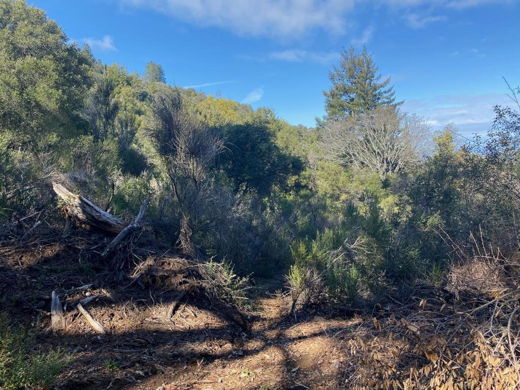 MLS #ML81915650 image #10