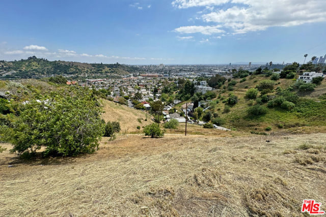 MLS# 24387097