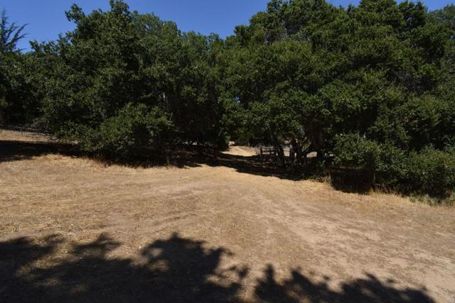 0 Alexander Lane, San Juan Bautista CA: https://media.crmls.org/mediaz/3091d30c-cade-448b-9219-ff42cc2089e1.jpg