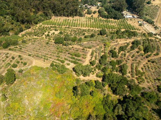 0 Sans Road, Corralitos CA: https://media.crmls.org/mediaz/3094d917-f9e3-437d-b023-6a2388b3e6f8.jpg