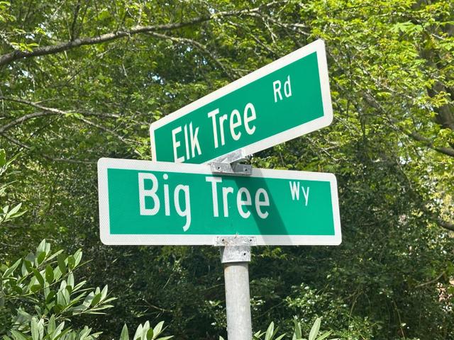 0 Big Tree Way, Woodside CA: https://media.crmls.org/mediaz/30a6b933-1beb-424e-88a3-0a4d4d3b9655.jpg