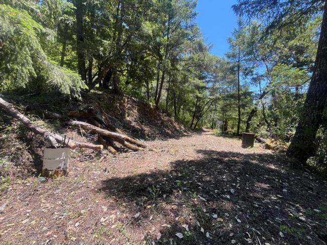 0 Deer Creek (Lot 21), Boulder Creek CA: https://media.crmls.org/mediaz/30a78b7d-4719-4357-8d9b-c6cff8282c32.jpg