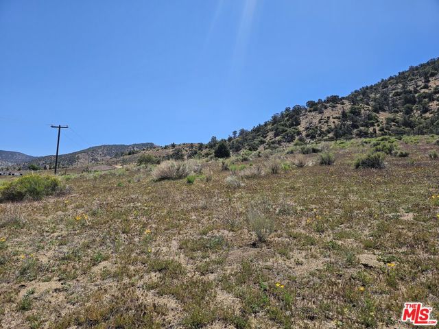 0 Pine Grove Dr, Tehachapi CA: https://media.crmls.org/mediaz/30be473d-db77-45d2-98d9-1f72e47ff59f.jpg
