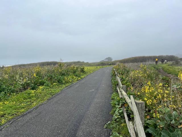 407 Beach Avenue, Half Moon Bay CA: https://media.crmls.org/mediaz/30bfc6f7-05a4-400b-b8ca-2c30227b35c6.jpg
