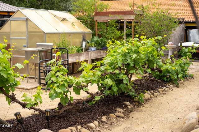 Detail Gallery Image 51 of 62 For 813 Santa Ana Bld, Oak View,  CA 93022 - 3 Beds | 2 Baths