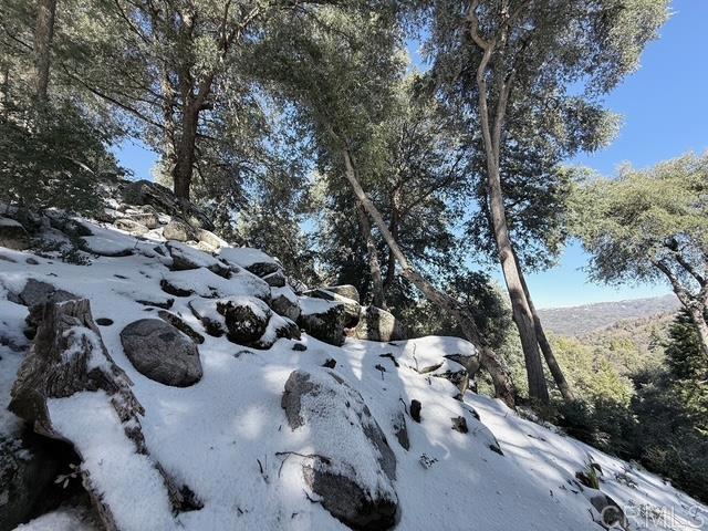 Detail Gallery Image 67 of 72 For 22234 Crestline Rd, Palomar Mountain,  CA 92060 - 3 Beds | 1/1 Baths