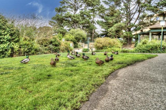 368 Imperial Way, Daly City CA: https://media.crmls.org/mediaz/30e06c92-54ff-460c-adca-ab04f1e79a90.jpg