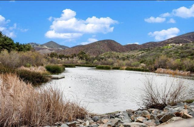 601 Carnation Court, San Marcos CA: https://media.crmls.org/mediaz/30f79bd7-0207-41fd-8bf5-c5413f1ee6cd.jpg