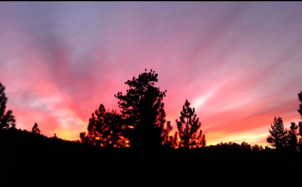 https://media.crmls.org/mediaz/31142a72-082f-4e7e-b043-4b09fccbfcbf.jpg?preset=X-Large
