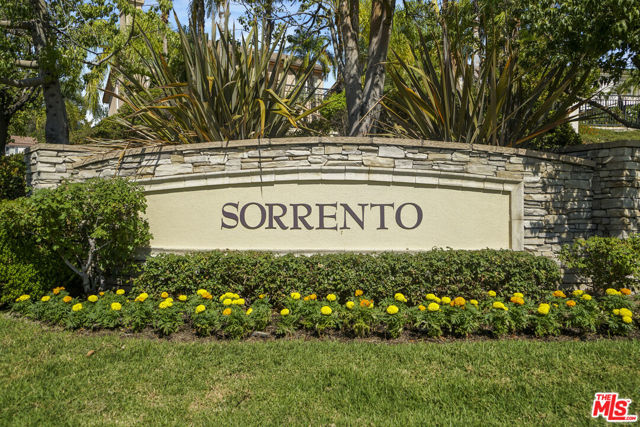 20542 Pesaro Way photo 28