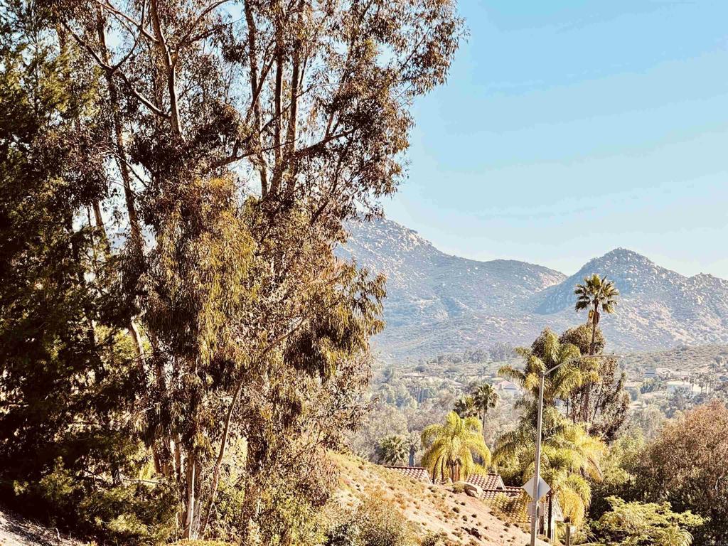 13807 Lake Poway Road Road - photo 13