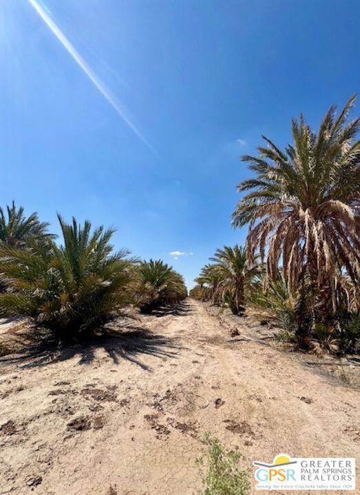 0 Noffsinger, Niland CA: https://media.crmls.org/mediaz/311a6a00-83fe-467a-8eaa-61174e663535.jpg