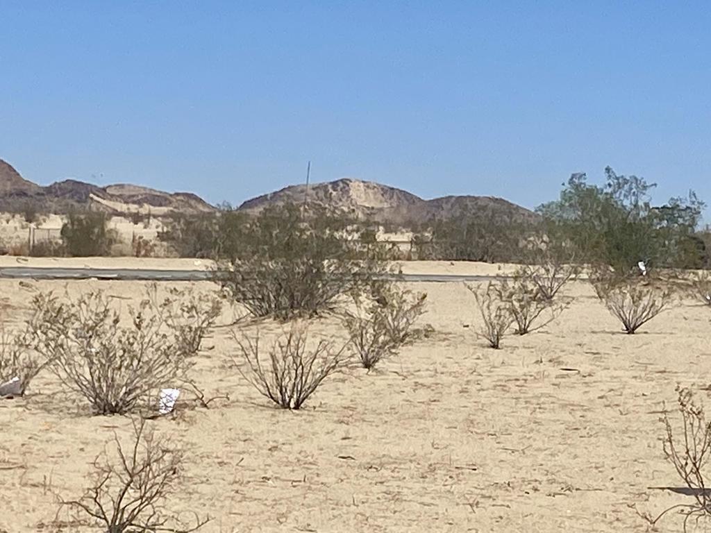 MLS #219133463PS image #18