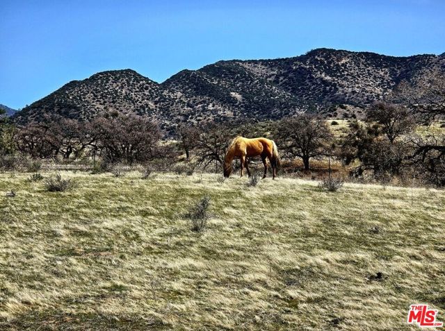 14526 Caliente Creek Road, Caliente CA: https://media.crmls.org/mediaz/31230b94-2f56-4504-8b80-70c26dd791fe.jpg