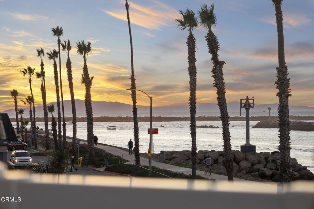 MLS #V1-33403 image #48