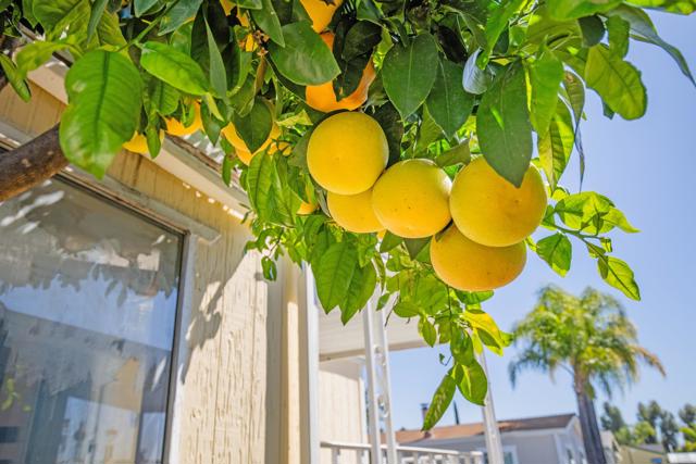 Detail Gallery Image 17 of 18 For 1537 H St Spc 54,  Ramona,  CA 92065 - 2 Beds | 1 Baths