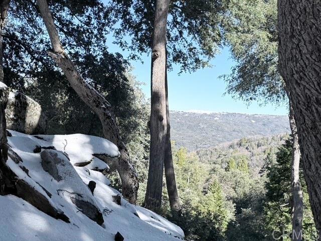 Detail Gallery Image 66 of 72 For 22234 Crestline Rd, Palomar Mountain,  CA 92060 - 3 Beds | 1/1 Baths