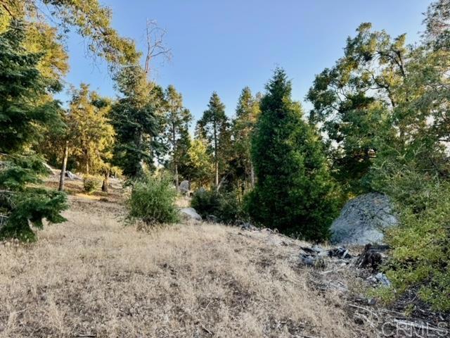 Detail Gallery Image 29 of 37 For 10 Acres Greenfield Way, Palomar Mountain,  CA 92060 - – Beds | – Baths