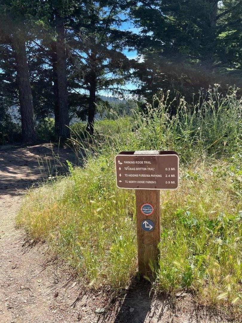 MLS #ML81979482 image #26