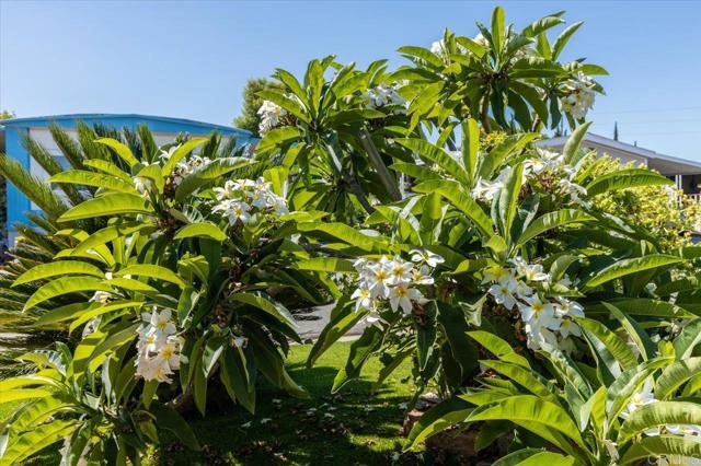 1286 Discovery Street, San Marcos CA: https://media.crmls.org/mediaz/313ea18e-6198-4ea0-8a91-ec9859165832.jpg