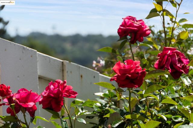 93 Thousand Oaks St, Oakland CA: https://media.crmls.org/mediaz/3140c260-f2a2-42ba-9f4b-e0c4e5fe2964.jpg