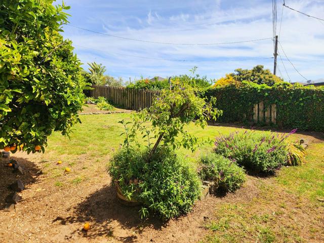 218 Forest View Drive, South San Francisco CA: https://media.crmls.org/mediaz/31422b1b-37e4-4d5b-a01f-c033ff52b3f5.jpg