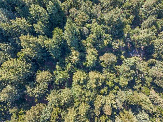 19900 Kings Creek Road, Boulder Creek CA: https://media.crmls.org/mediaz/31433159-271e-41c2-badb-00972b294881.jpg