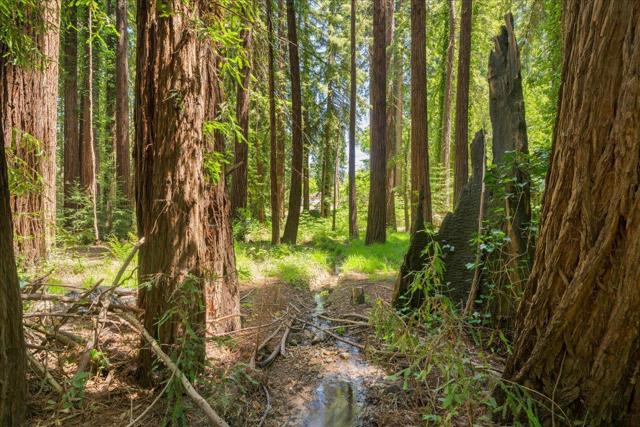 0 Grove Street, Los Gatos CA: https://media.crmls.org/mediaz/31514ad5-45c4-4b45-a500-6658f6a90c83.jpg