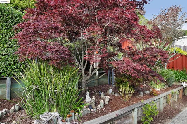 2008 Tamalpais Ave, El Cerrito CA: https://media.crmls.org/mediaz/31514c7d-62c1-4de2-8d08-111340d83791.jpg