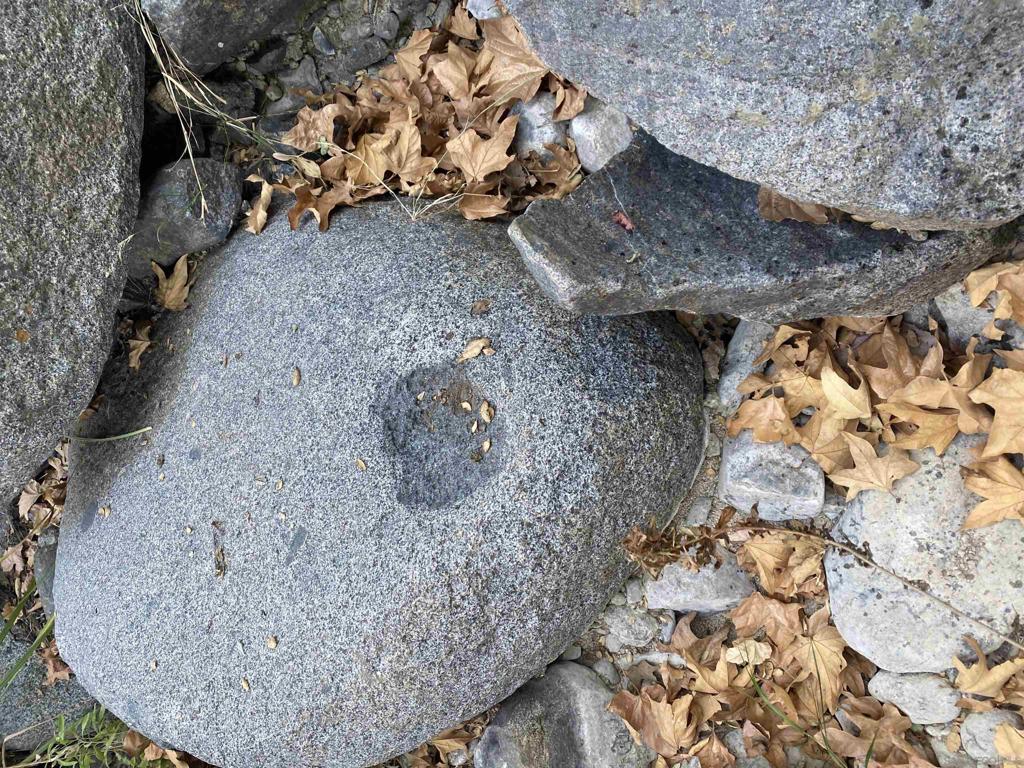 MLS #250035511SD image #5