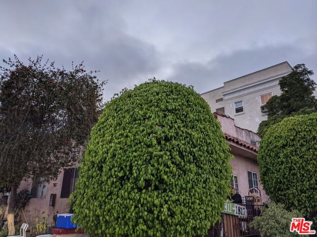 1811 N Kingsley Drive, Los Angeles CA: https://media.crmls.org/mediaz/3153f8bd-a075-43f7-969e-c64329408e70.jpg