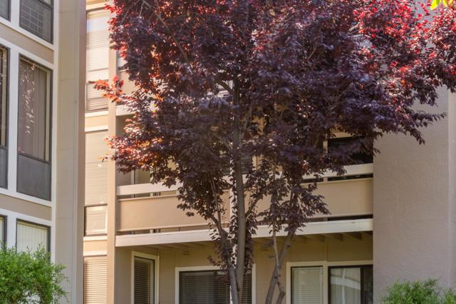 1061 Beach Park Boulevard, Foster City CA: https://media.crmls.org/mediaz/315d8a6d-4b51-4426-87d3-7faa740927d2.jpg