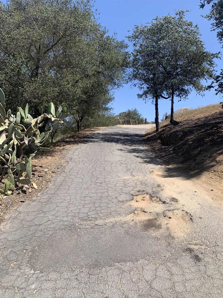 19519 Camino Del Aguila - photo 5