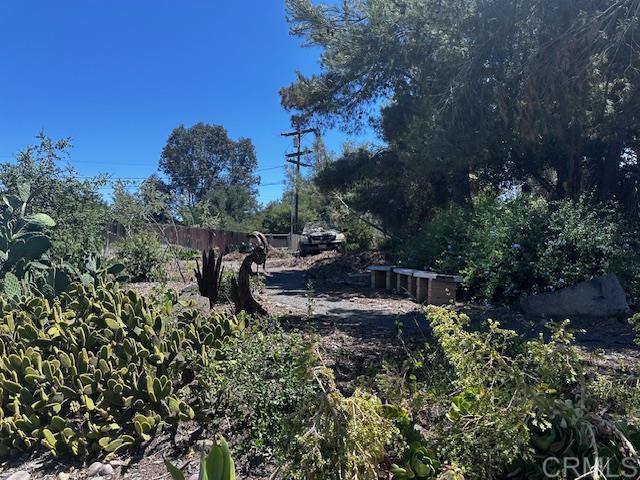 MLS #PTP2504942 image #31