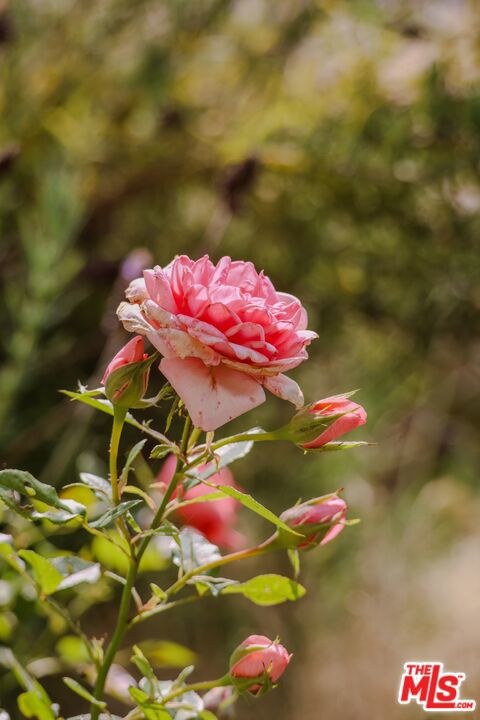 520 Barker Pass Road, Santa Barbara CA: https://media.crmls.org/mediaz/3173b880-14b1-42c8-b6fe-0bedd4a8eb4f.jpg