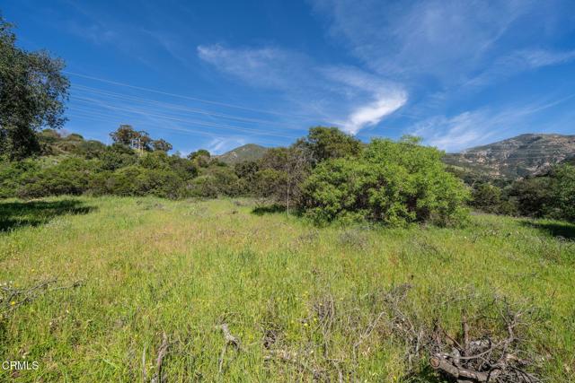 Detail Gallery Image 5 of 44 For 4700 Rising Hill Rd, Altadena,  CA 91001 - – Beds | – Baths