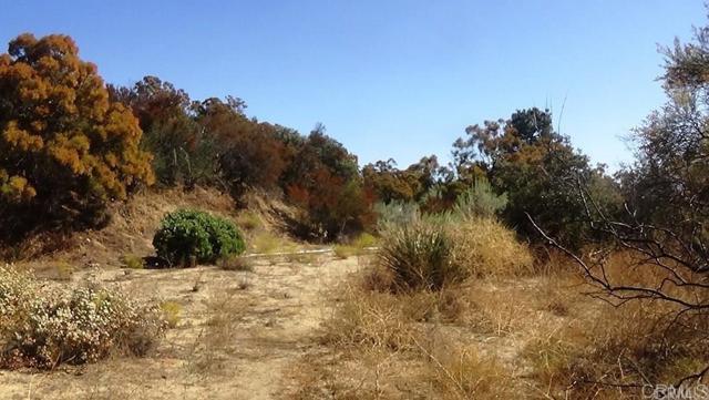 Detail Gallery Image 31 of 41 For 37245 Old Forest Rd, Anza,  CA 92539 - – Beds | – Baths