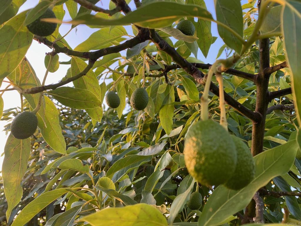 MLS #NDP2410465 image #10