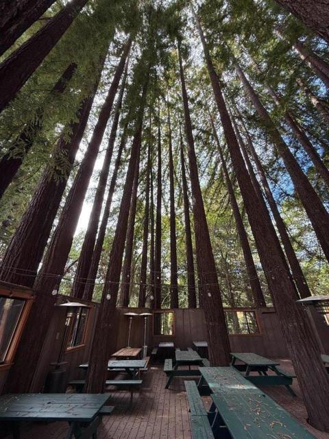 56 Lodge, Soquel CA: https://media.crmls.org/mediaz/31901297-6404-4400-8d46-ebd470deb77e.jpg