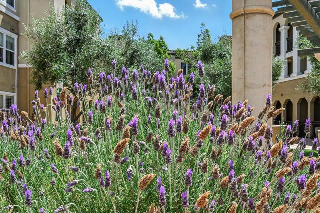 1883 Agnew Road, Santa Clara CA: https://media.crmls.org/mediaz/3191fe1e-dbf9-470b-93a2-e257ddab9b40.jpg