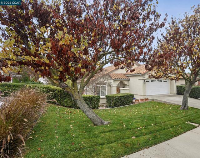 2063 BLUEROCK CT, Concord CA: https://media.crmls.org/mediaz/31948d70-76e2-4352-ae30-87089ba33fae.jpg