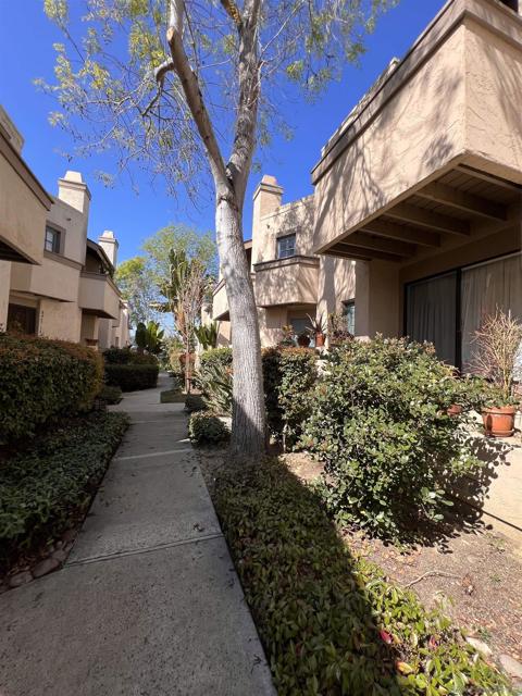 3205 Via Alicante, La Jolla, California 92037, 2 Bedrooms Bedrooms, ,1 BathroomBathrooms,Condominium,For Sale,Via Alicante,250020248SD